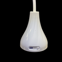 Gooseneck LED Gel Lamp